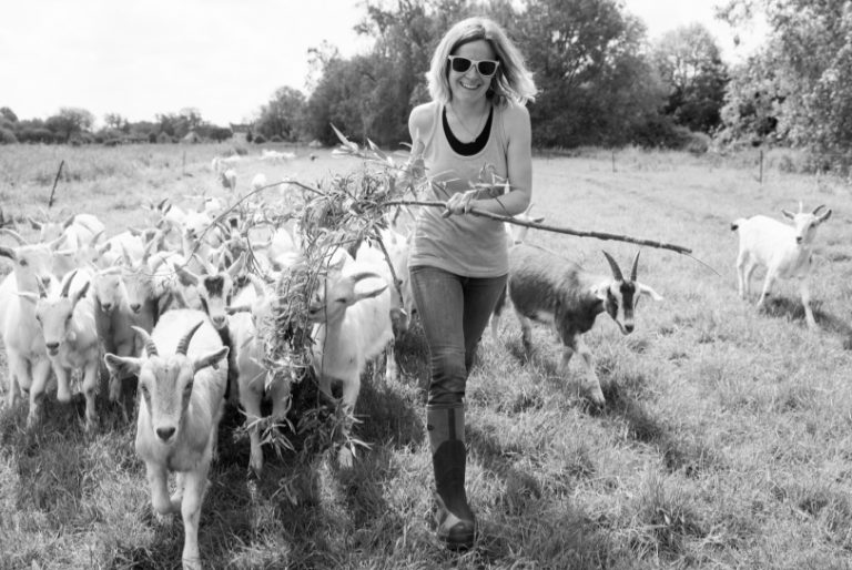 Our Story Cotswold Kid Meat Just Kidding Kid Goats